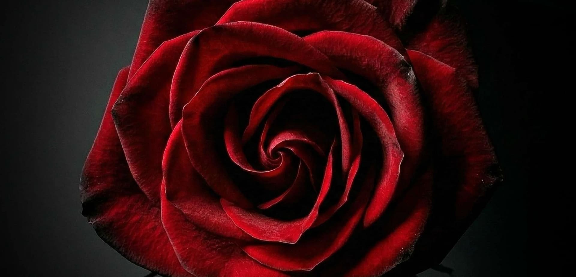 53e3dce828e5297aa2e60996ad778a4c