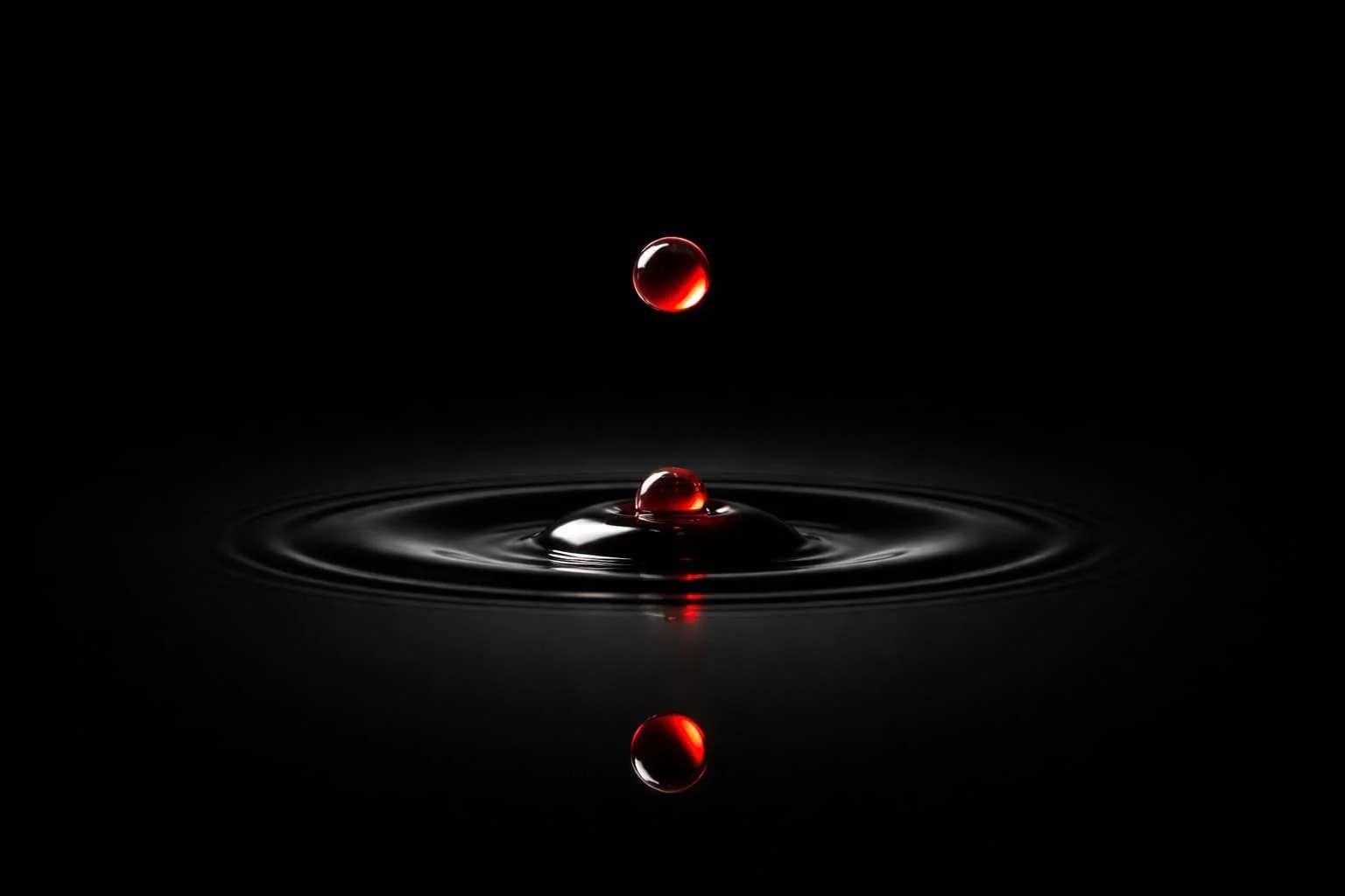 Dd6524db32e5a1d9fa92dce5a335a666