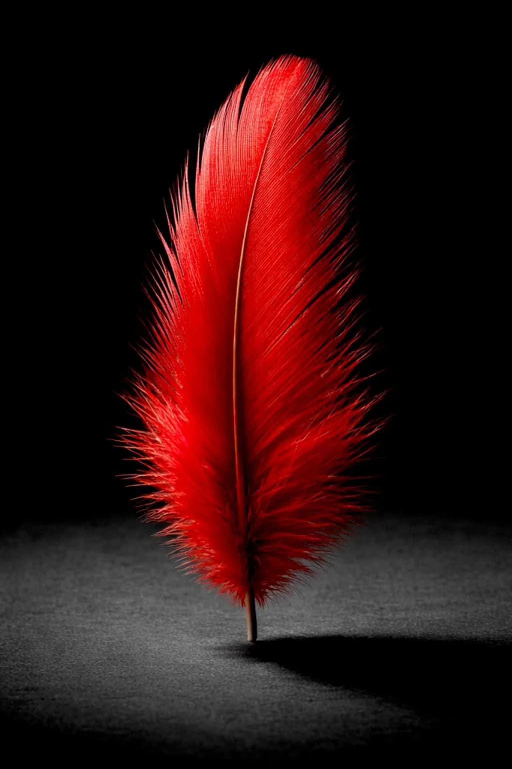 F7fe4ed11a9bc27c9fea75ee41748848